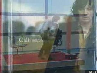 Cali au jt de 13h du 17 avril sur france2