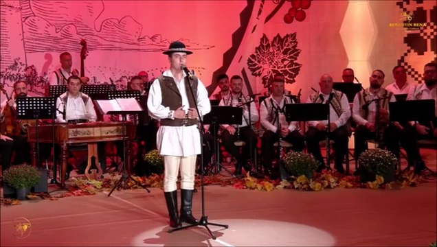 Cosmin Cotarla - Festivalul Strugurele de aur - Alba-Iulia - 05.09.2024