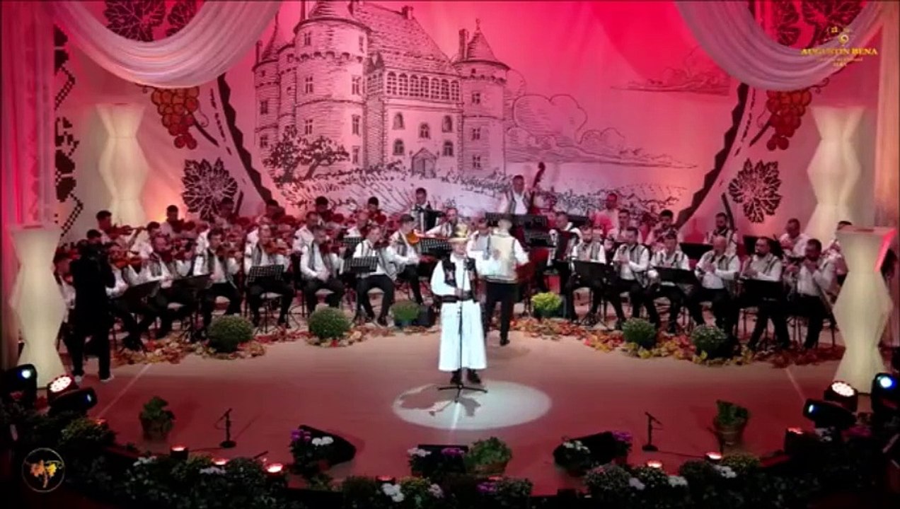 Denis Cupse - Festivalul Strugurele de aur - Alba-Iulia - 05.09.2024