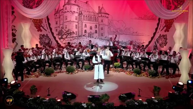 Denis Cupse - Festivalul Strugurele de aur - Alba-Iulia - 05.09.2024