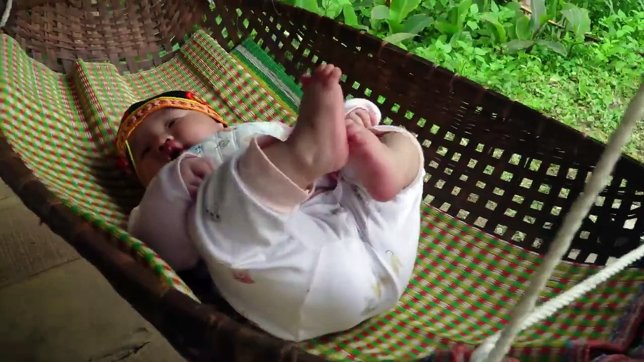 Dwarf Family was Attacked by a Porcupine - Harvesting wild Bamboo Shoots in exchange for rice