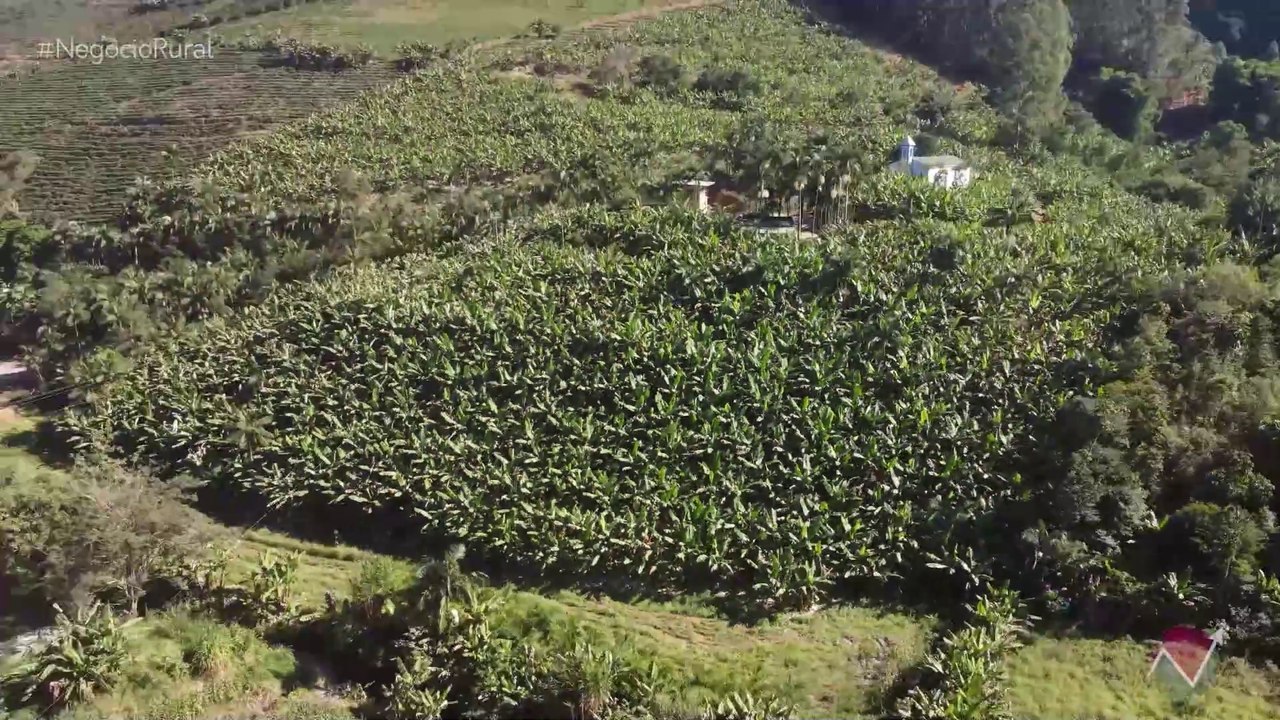 Banana também é coop