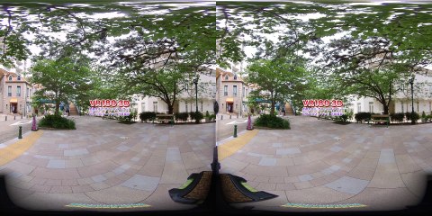 宝塚ホテル グランドオープン!! 2020.6.21