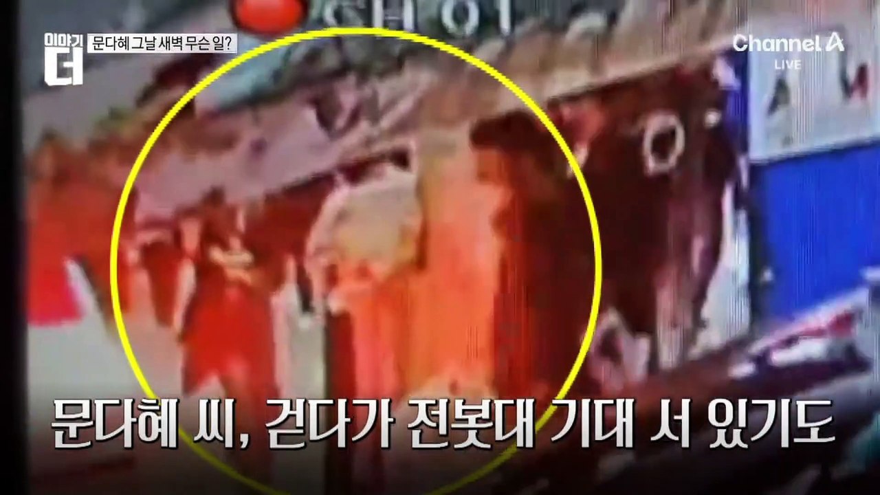 문다혜, 음주운전 혐의 입건…그날 새벽 무슨 일?
