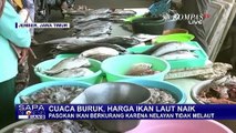 Harga Ikan Laut di Jember Naik Imbas Cuaca Buruk