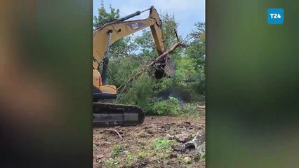 Tramvay yolu uğruna yüzlerce ağacı kestiler