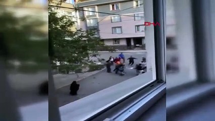 Ceviz kavgasında ortalık savaş alanına döndü