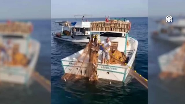 Ağlarına bol miktarda palamut takılan balıkçının sevinci kamerada