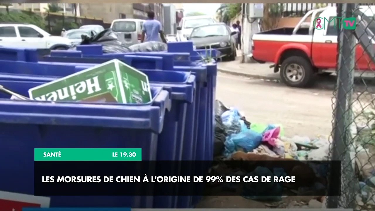 [#Reportage] Santé : les morsures de chien à l'origine de 99% des cas de rage