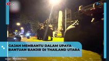 Momen Viral Gajah Bantu Petugas Banjir di Chiang Mai Thailand