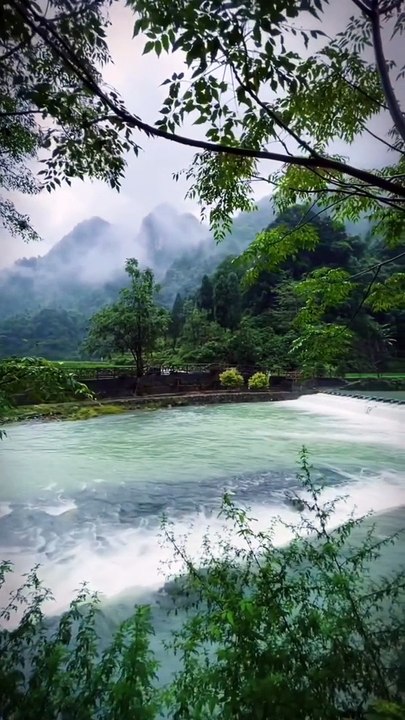 Beautiful view