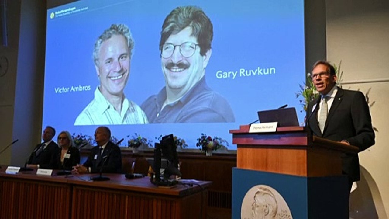 Medizin-Nobelpreis geht an Micro-RNA-Entdecker