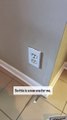 Home inspector notices that the outlet plate screw is in the wrong spot!