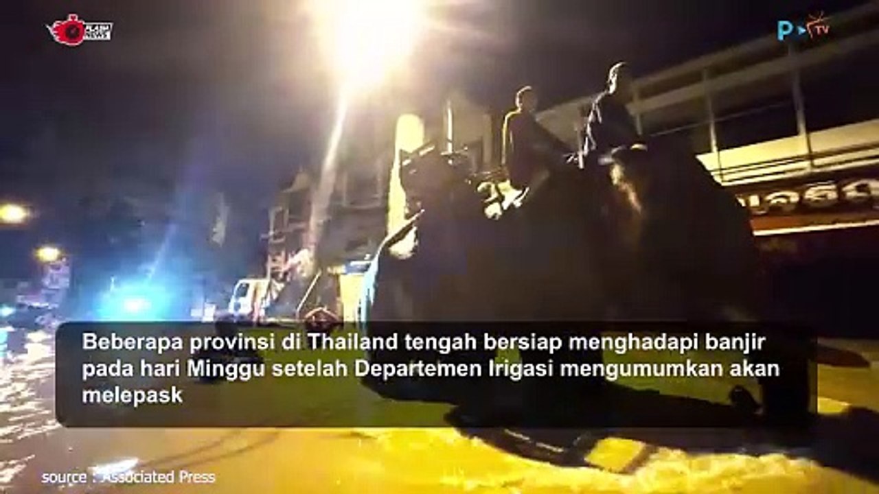 Keren! Gajah Membantu Petugas Banjir di Chiang Mai Thailand