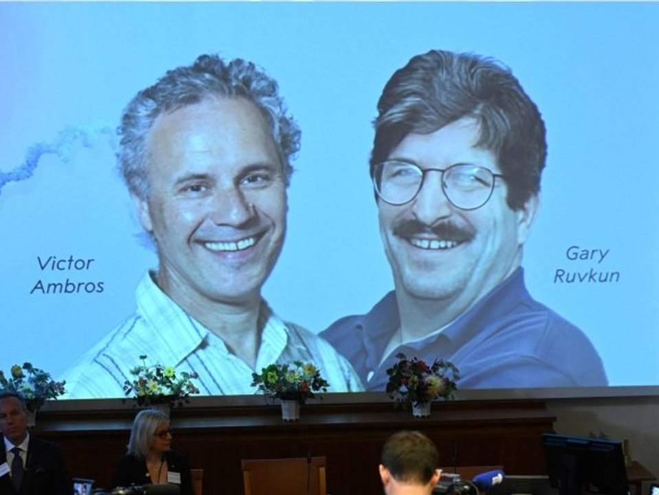 Nobelpreis für Medizin geht an die Entdecker der 'MicroRNA'