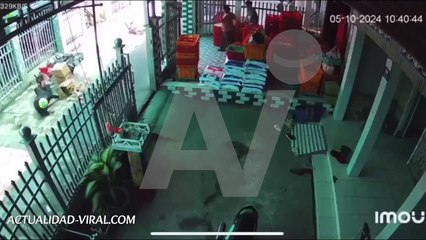 Video: ¡Un grito apagado! Una joven cayó de su motocicleta y perdió la vida