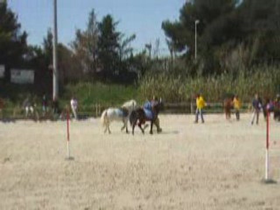 pony games