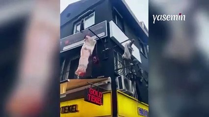 İzmir'de dehşete düşüren manzara! Parçalanmış kadın vücudu maketleri...