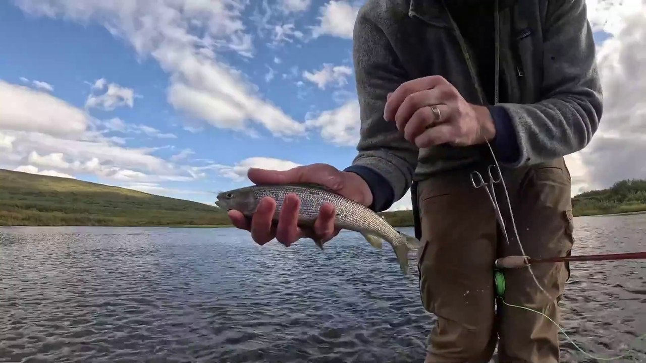 3 Days Solo Camping, Fishing, Hunting & Foraging Food in Arctic