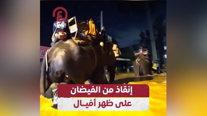 إنقاذ من الفيضان على ظهر أفيال