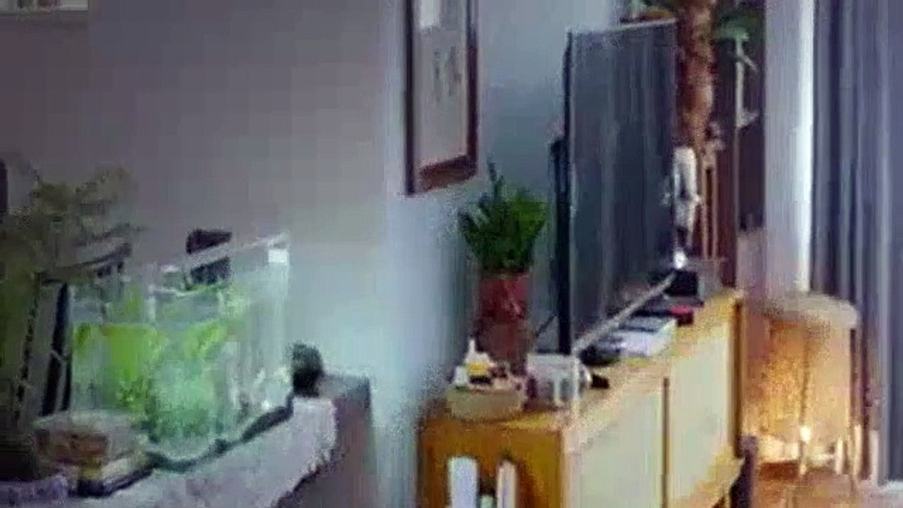 You Are My Lover Friend Season 1 Episode 6 (English Sub)