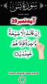 Al-Quran - Surah 36 - Yaseen - Ayah 29 | daily tilawat quran | hafiz salman ali