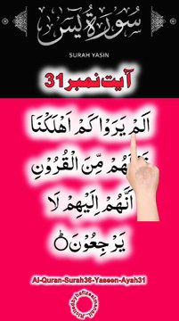 Al-Quran - Surah 36 - Yaseen - Ayah 31 | daily tilawat quran | hafiz salman ali