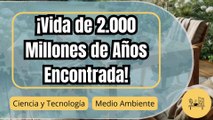 Descubren Microbios Vivos de 2.000 Millones de Años en una Roca Subterránea