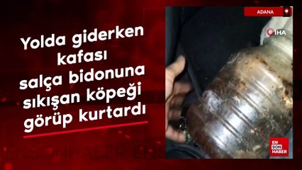 Adana'da yolda giderken kafası salça bidonuna sıkışan köpeği görüp kurtardı
