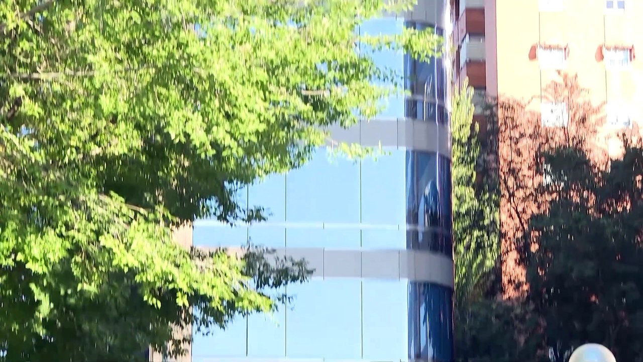 La Audiencia de Madrid rechaza cerrar el 'caso Begoña Gómez' pero lo acota