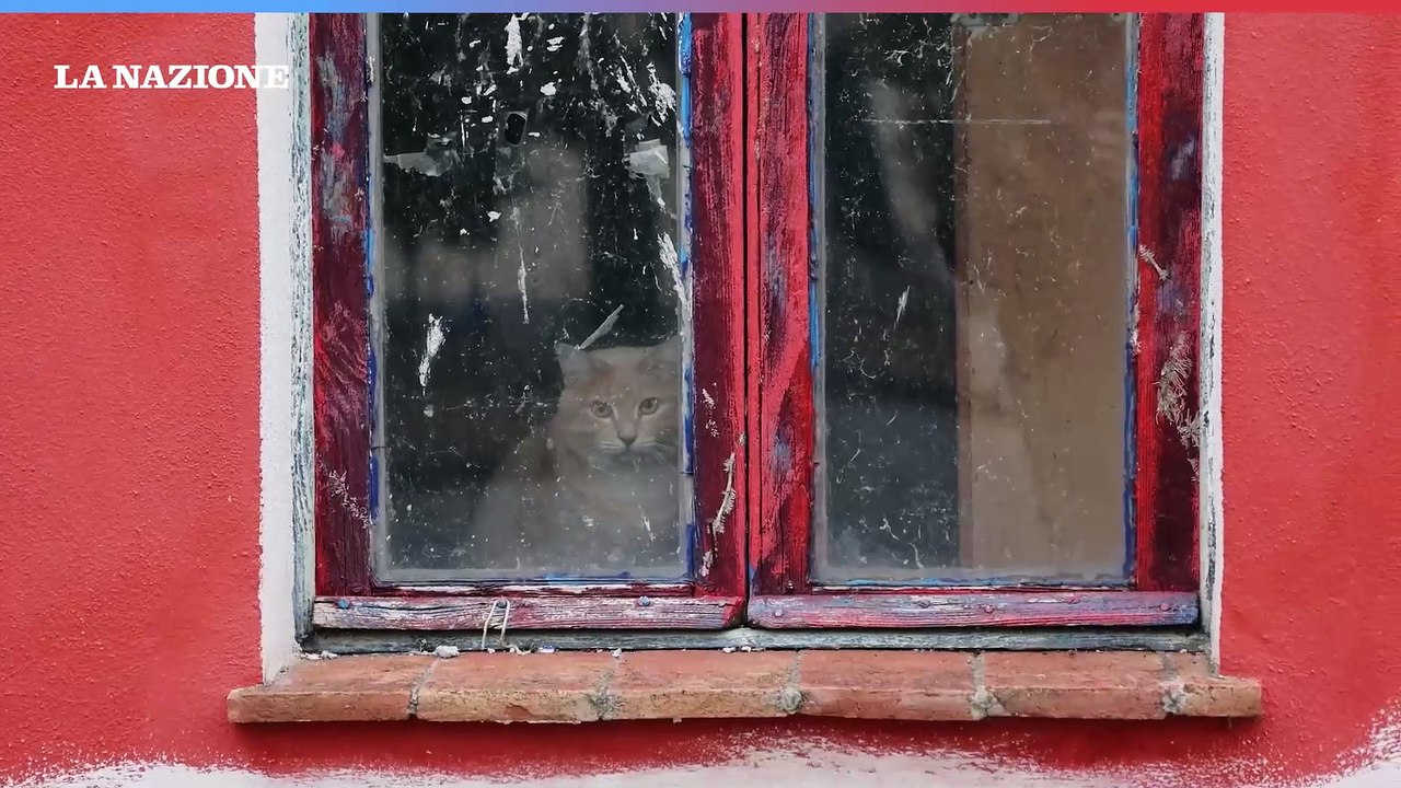 Pisa: Omicidio di Oratorio, parlano i familiari