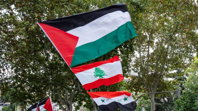 Varios manifestantes pro palestinos fueron detenidos y reducidos duramente por la policía nacional en la manifestación que tuvo lugar en Santiago el pasado sábado