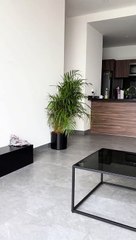 Video: ¿Qué vio? Una gatita temblaba de miedo al ver ‘algo’ en el departamento de su dueña