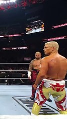 Cody Rhodes & Roman Regins vs bloodline