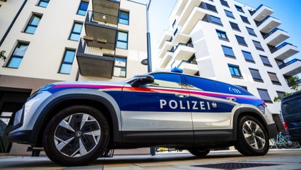 Download Video: Mordverdacht: Toter in Wohnung in Wien-Favoriten gefunden