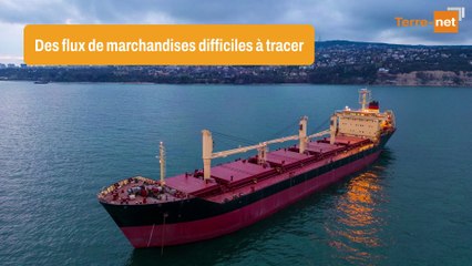 L’opacité de l'info sur les marchés agricoles alimente la volatilité