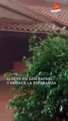 Scz: Llueve en San Rafael y renace la esperanza