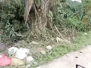 Sampah Berserakan di Jalan Negara Arah IKN