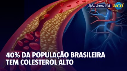40% da população brasileira tem colesterol elevado