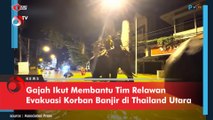 Gajah Ikut Membantu Tim Relawan Evakuasi Korban Banjir di Thailand Utara