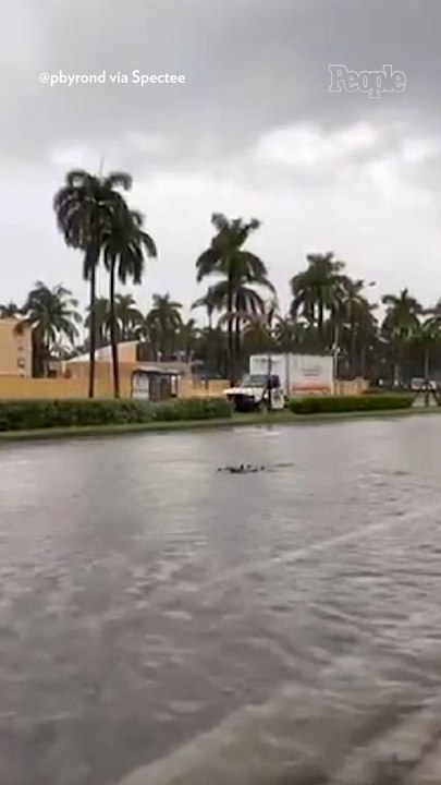 Hurricane Milton 'Rapidly Intensifies' into Category 5 Storm as It Approaches Florida's Gulf Coast