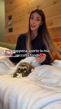 La raccolta fondi di Michelle Comi