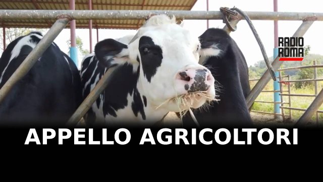 Crisi del latte di bufala, appello agricoltori Lazio