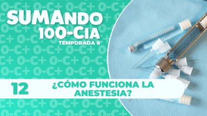 12 ¿Cómo Funciona la Anestesia? Descubre el Secreto para Bloquear el Dolor 🩺