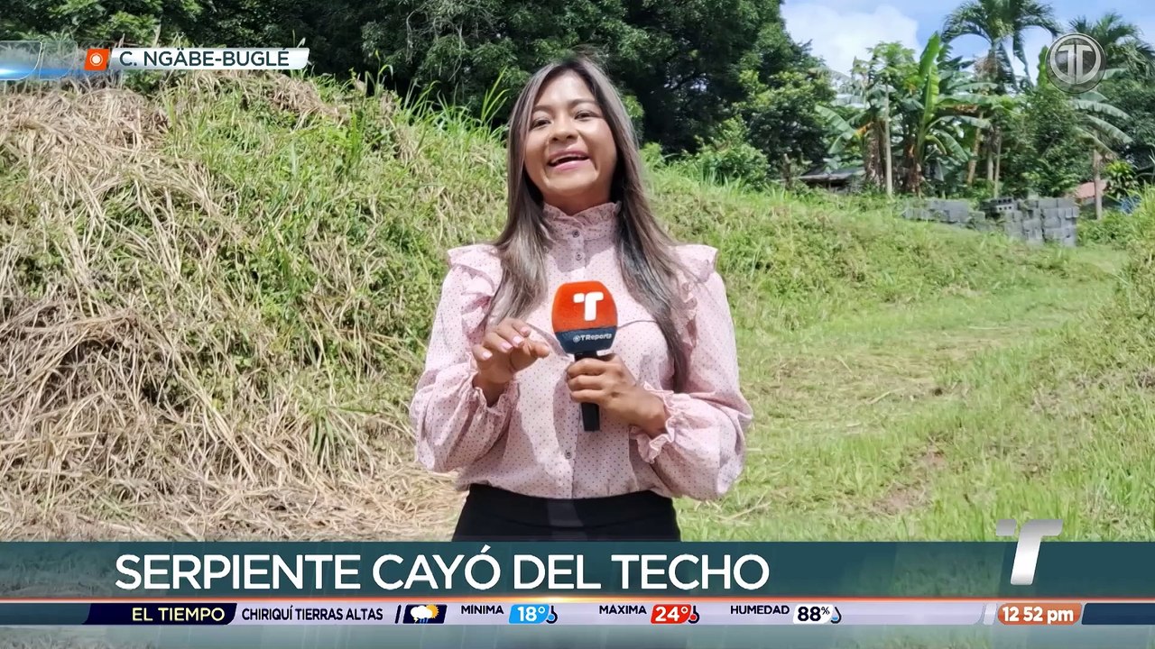 Serpiente cae del techo en un salón de clases en la comarca Ngäbe Buglé