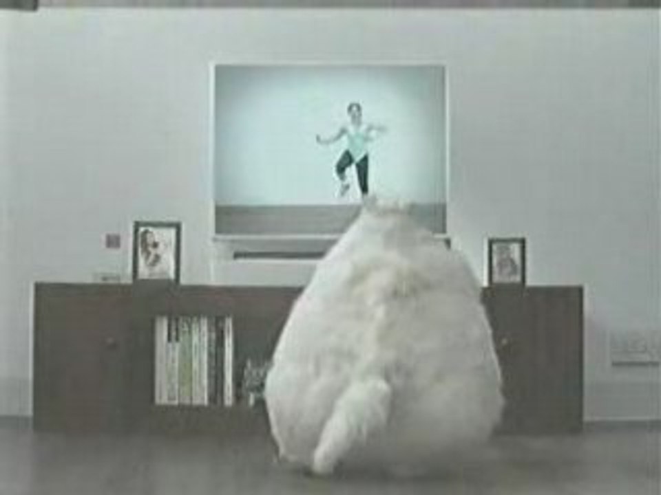 Morbidly_Obese_Cat