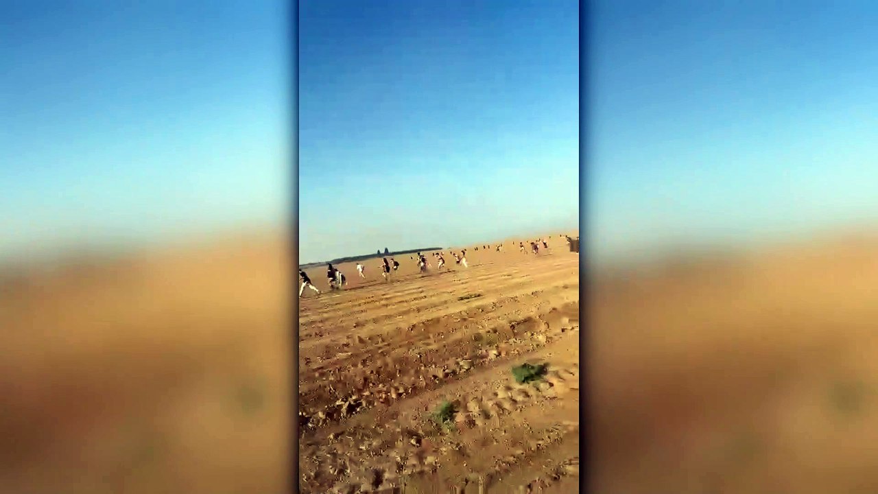 Vídeo filmado por Avigail no momento em que decidem viajar com o carro pelos campos agrícolas para escapar dos terroristas.