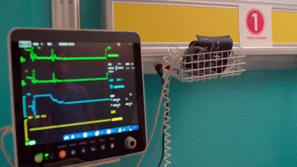 El Dragon 2 Temporada - Capitulo 02