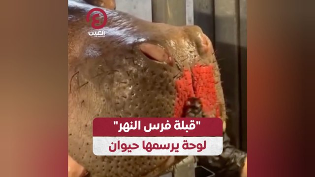 قبلة فرس النهر لوحة يرسمها حيوان