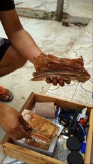 ¡Increíble! Roedores arruinan los ahorros de una familia 🐭